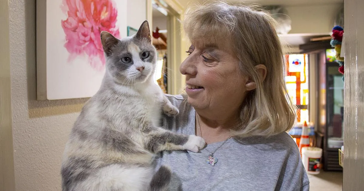 Shop cats provide companionship for employees, customers of New Braunfels businesses