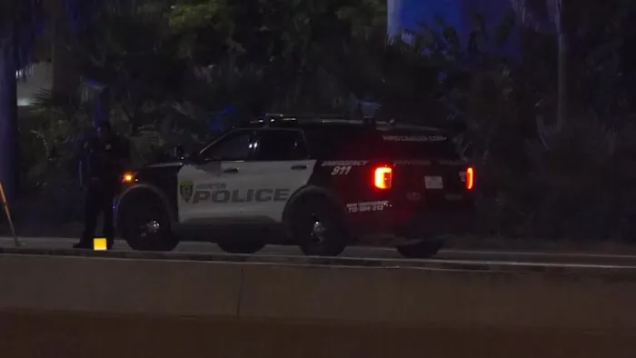 Man killed after exiting moving truck on Gulf Freeway