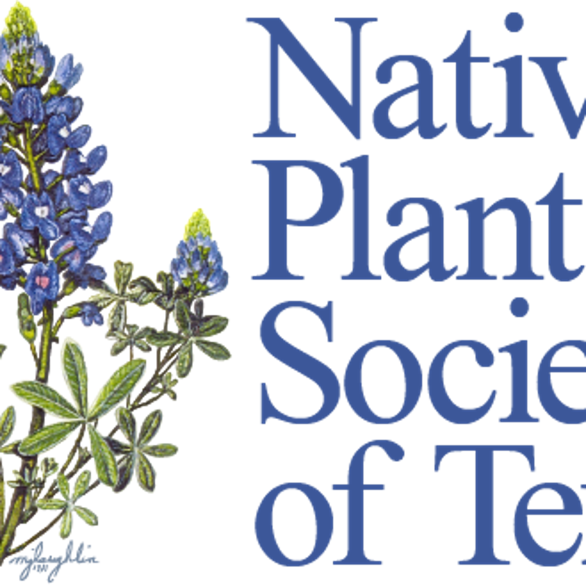 Fall Native Plant Sale slated for Saturday at RNC