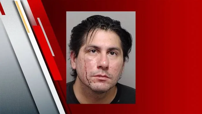 Man arrested after 2 dogs found dead inside vehicle in northeast Bexar County, BCSO says