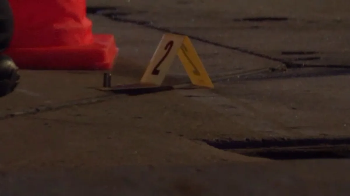 Investigation underway after shooting leaves 1 dead in Pearland overnight, police say