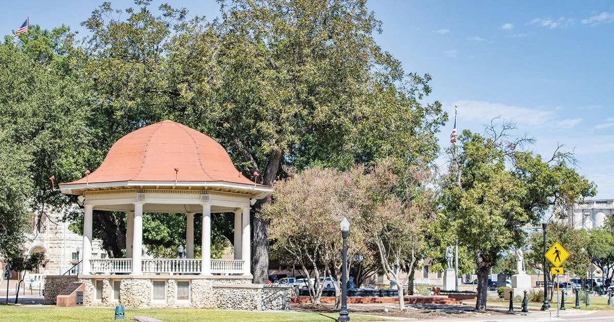 City of New Braunfels schedules removal of oak trees in downtown Main Plaza due to fungal infections