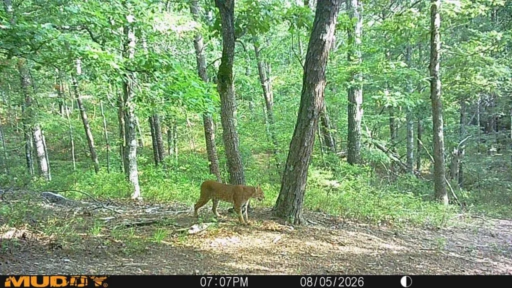 LUKE CLAYTON: Bow season is here!
