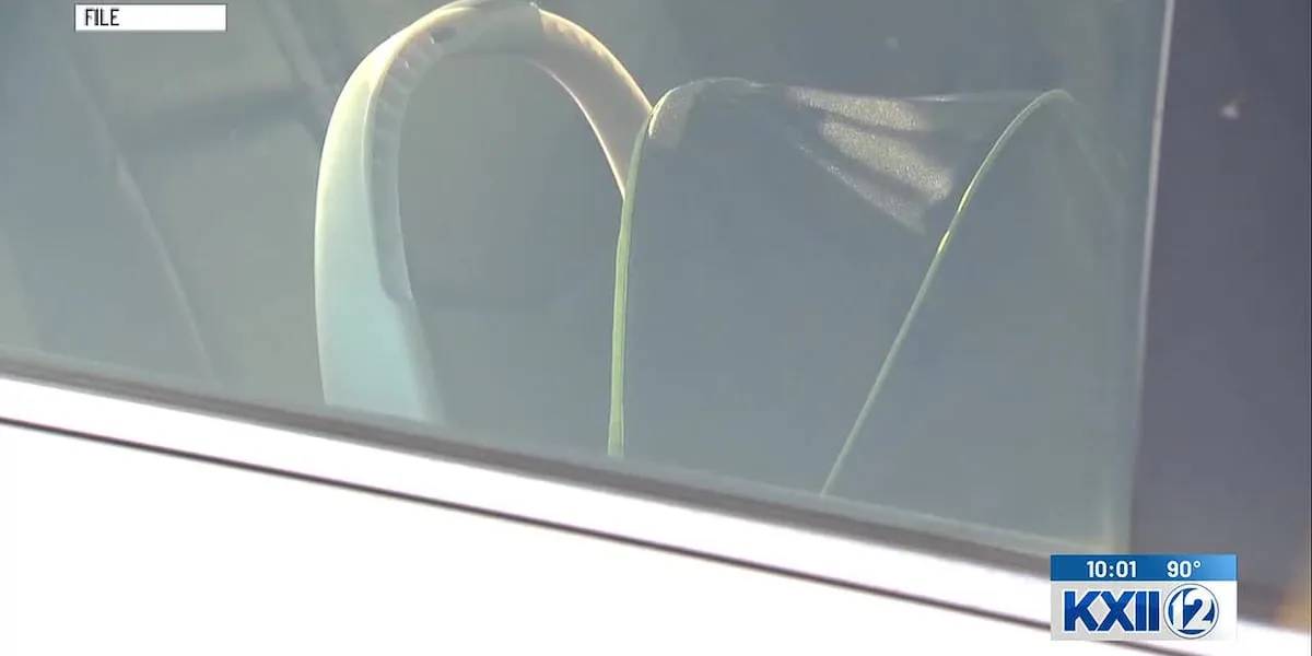 Hot car deaths: What to do if you see a child or pet trapped inside