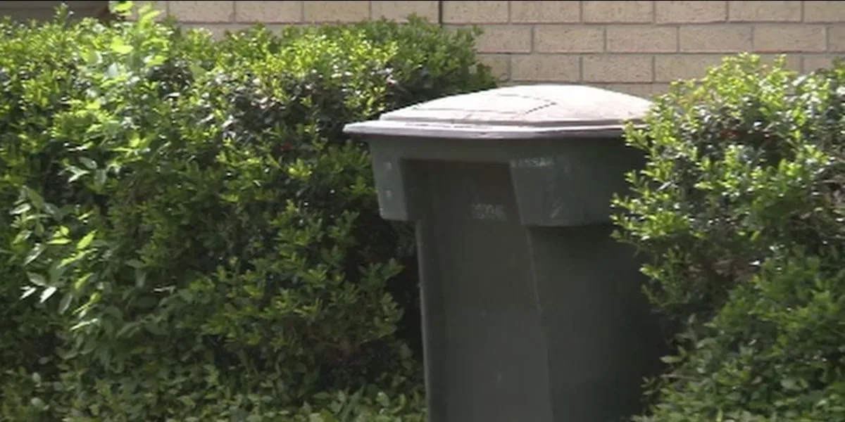 Trash service employees fired for allegedly rummaging through Mineola residents' garbage