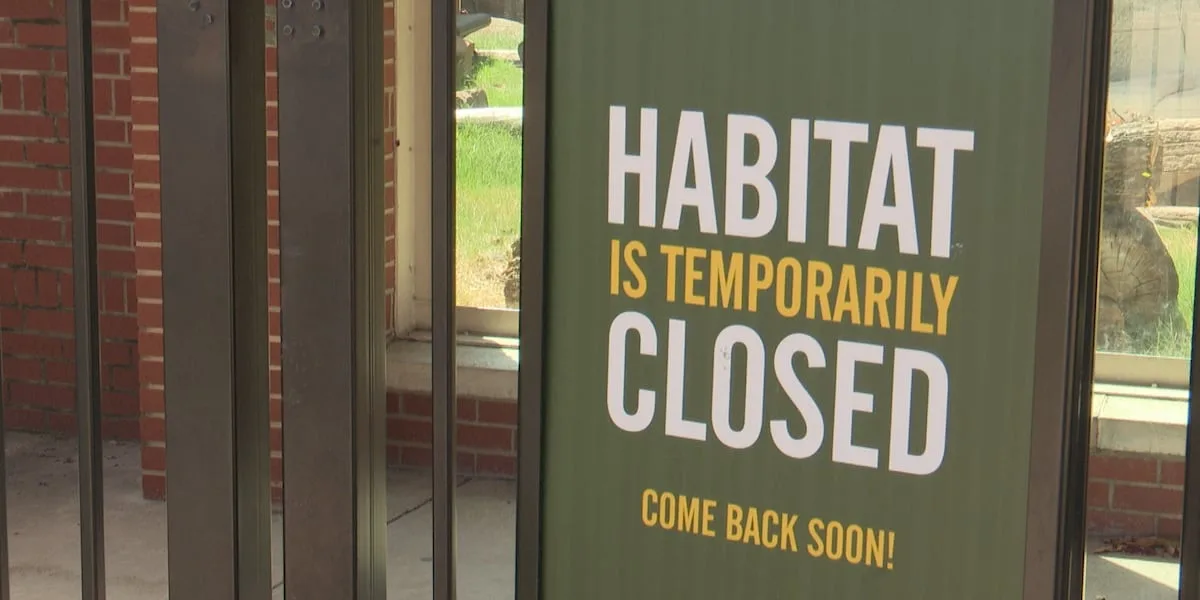 Baylor's bear mascots relocated during campus habitat renovations