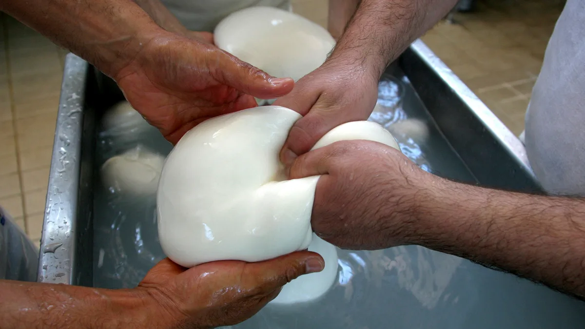 Millions in cheese revenue lost as protest torpedoes Italy's buffalo mozzarella output