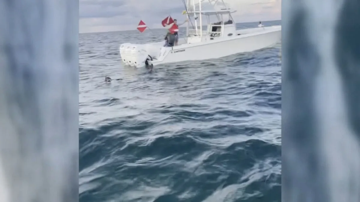 Man charged with attempted murder in alleged lobster diving incident speaks out