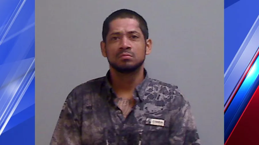 Palmview police search for man accused of stabbing friend