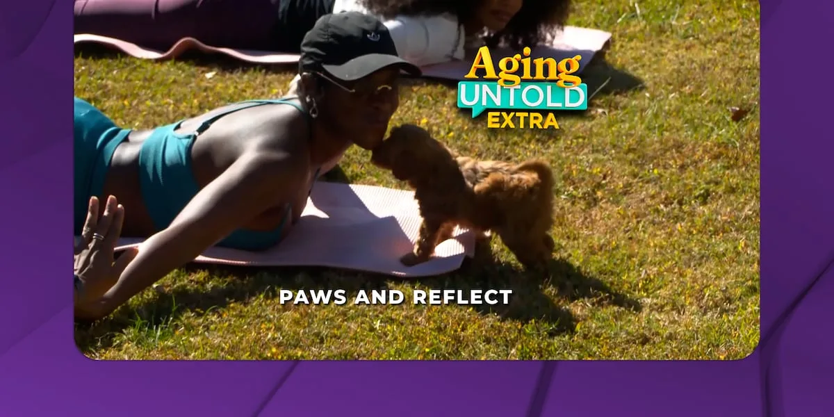 Paws and reflect: Puppy yoga brings calm and chaos