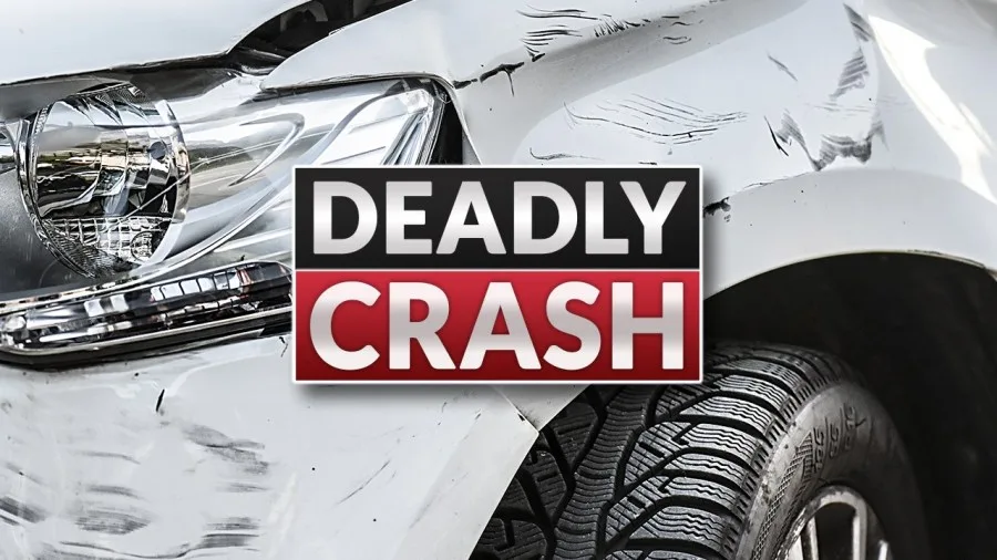 DPS: Teen dies after vehicle flips over, hits tree in Tyler