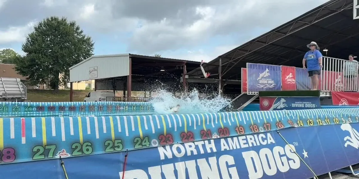 North American Diving Dogs competition returns to Longview Fairgrounds