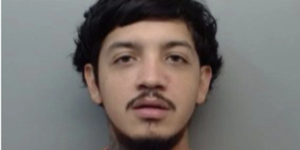Rio Bravo man arrested on felony charges after alleged attack