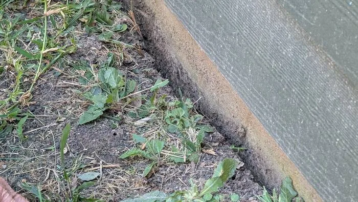 Should you water your foundation? Houston experts explain why it may save you thousands