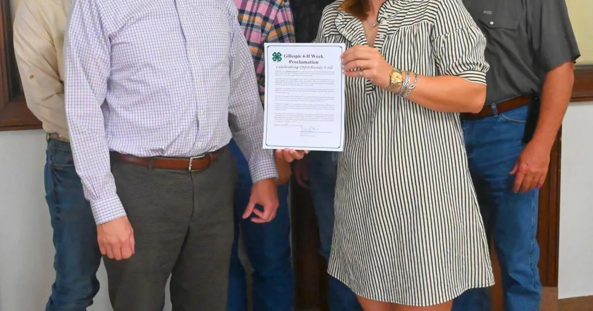 County calls for in-depth audit